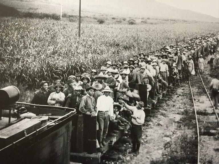 Large group of workers standing on train cars beside fields, early 20th century.
