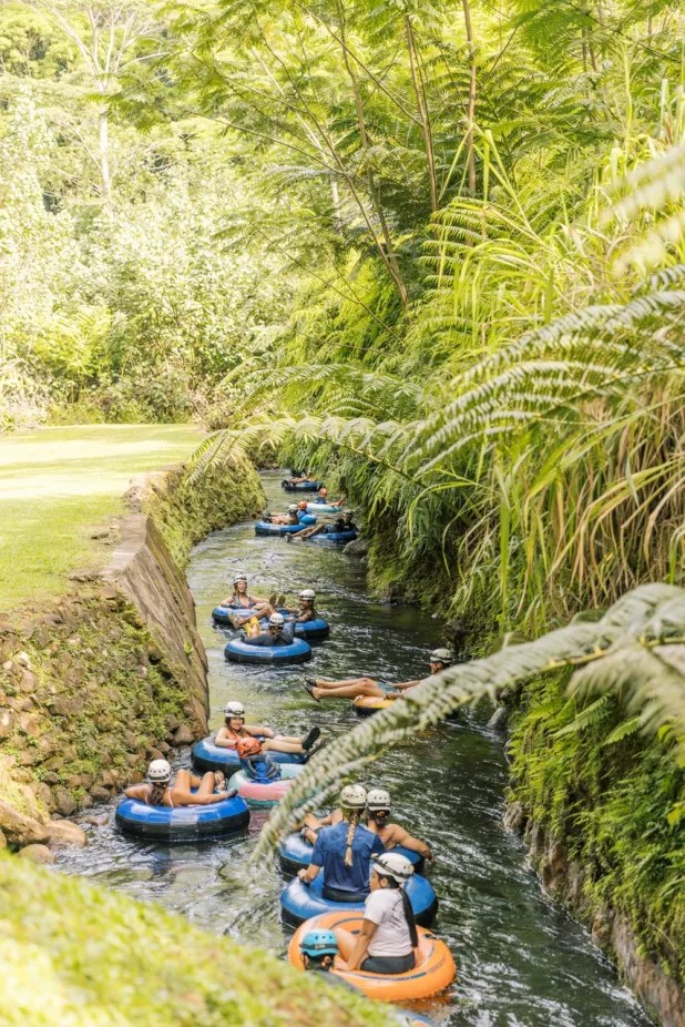 People tubing in a narrow, tree-lined waterway.