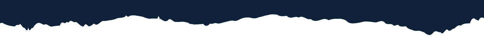 Navy blue jagged line across a white background.