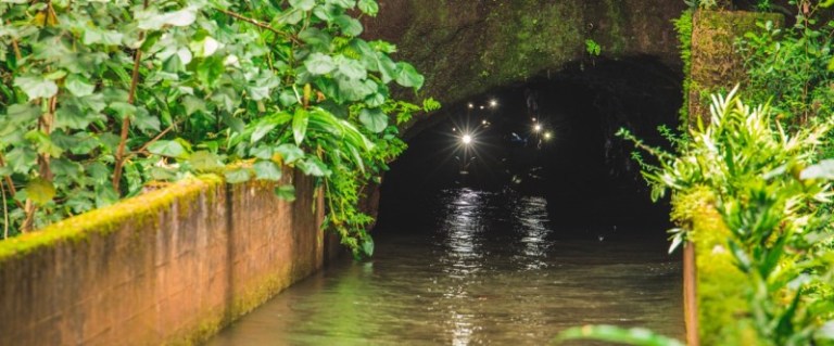 Dark tunnel with water and green foliage at entrance.