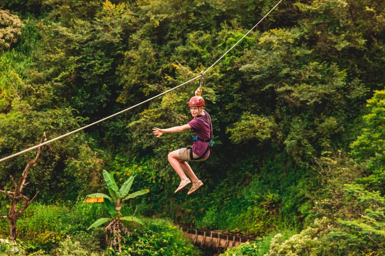 Person ziplining through lush green forest.