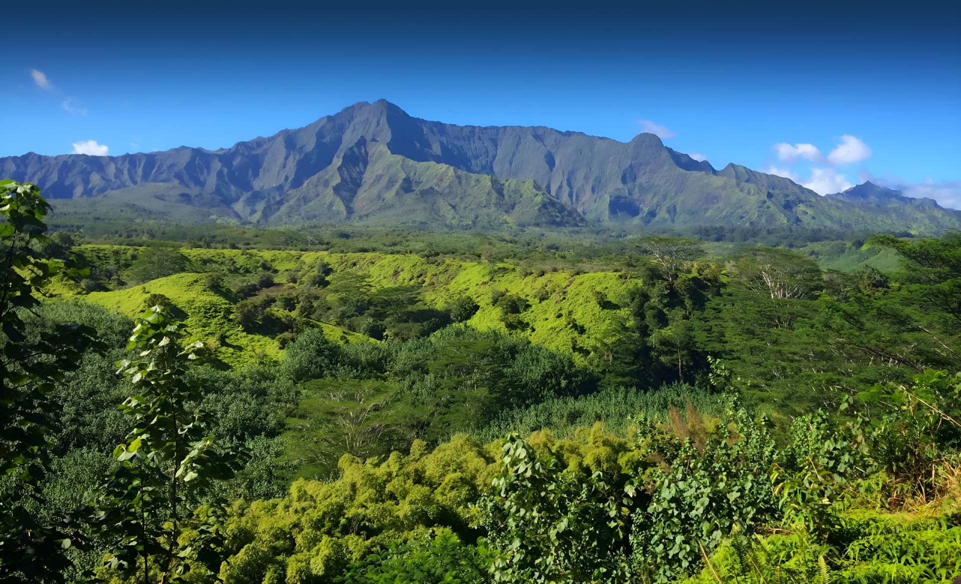 Lush green landscape with mountains under a clear blue sky.