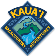 footer logo logo, company name